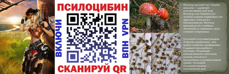 Псилоцибиновые грибы прущие грибы  Шелехов 