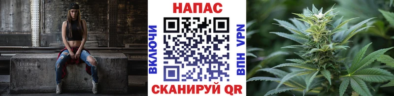 Каннабис конопля  мега ссылка  Шелехов 